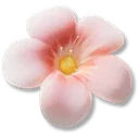 Blooming Hairclip Pack icon