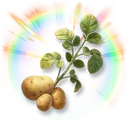 Colorful Potato icon