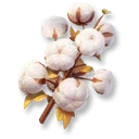 Fast-Growing Cotton icon