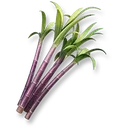 Fast-Growing Sugarcane icon
