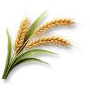 Fast-Growing Wheat icon