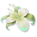Growth Flower icon