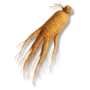 Herbs icon