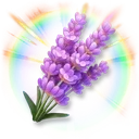 Huge Colorful Lavender icon