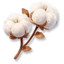 Huge Cotton icon