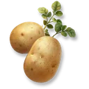 Huge Potato icon