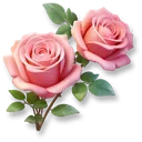 Huge Rose icon