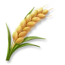 Huge Wheat icon