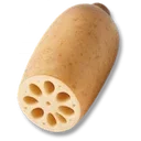 Lotus Root icon
