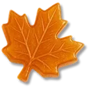 Maple Candy icon