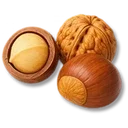 Nuts icon