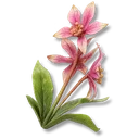 Prismana Orchid icon