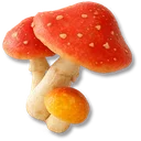 Red Mushroom icon