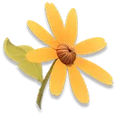 Sunny Daisy icon