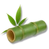 Bamboo