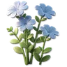Blue Flax