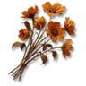 Dried Flowers