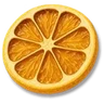 Dried Lemon Slices