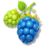 Green Raspberry