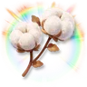 Huge Colorful Cotton