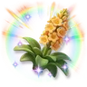 Huge Colorful Sparkling Agave
