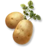 Huge Potato