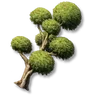 Pom-Pom Trees: II