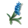 Prismana Bellflower