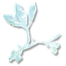 Pure Essence of Ice