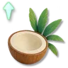 Quick Formula: Coconut