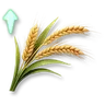 Quick Formula: Wheat
