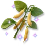 Sparkling Soybean