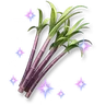 Sparkling Sugarcane