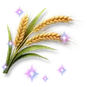 Sparkling Wheat