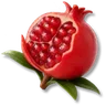 Star-striped Pomegranate