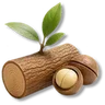Volcano Bean Tree Timber