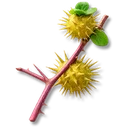 Yellow Thornfruit icon