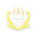 Lightning Claw icon